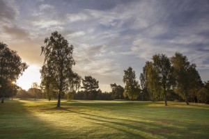 Ladybank Golf Club - 2016